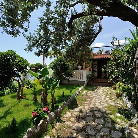 H.h.le Palme Amalfi