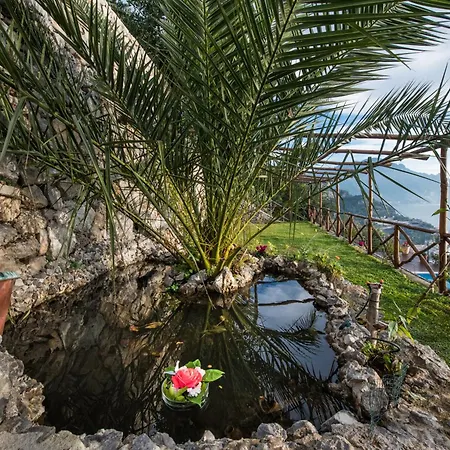 H.h.le Palme Panzió Amalfi