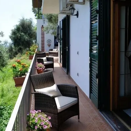 H.h.le Palme Amalfi